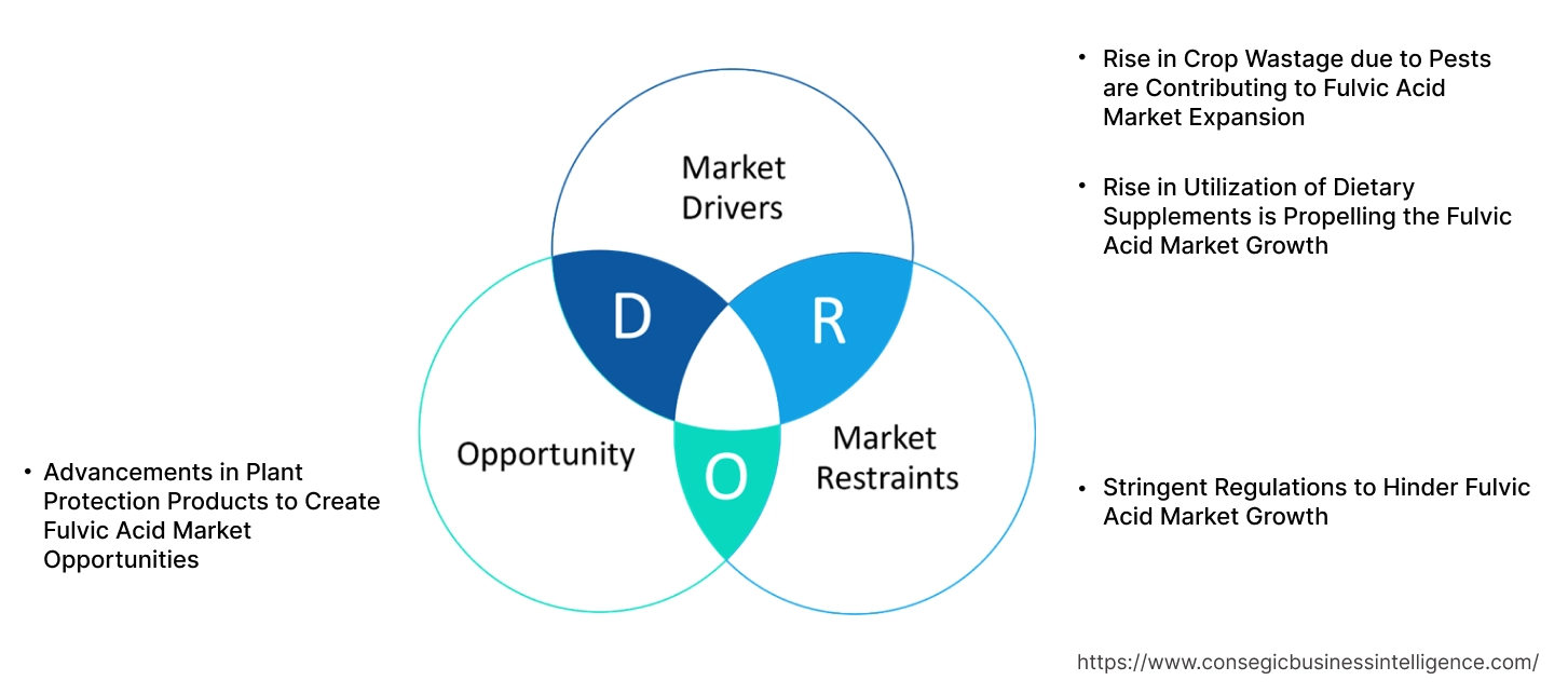 Fulvic Acid Market Dynamics