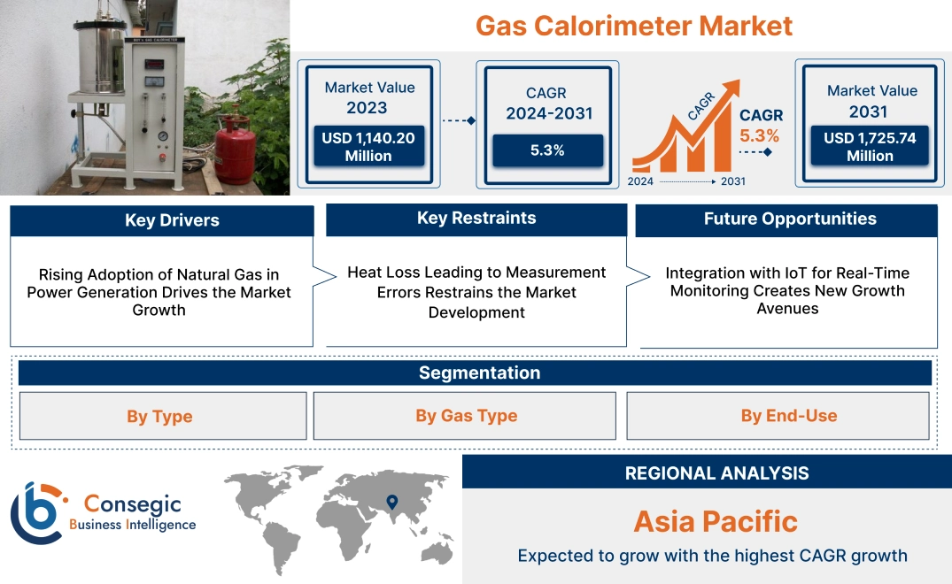 Gas Calorimeter Market Gas Calorimeter Market