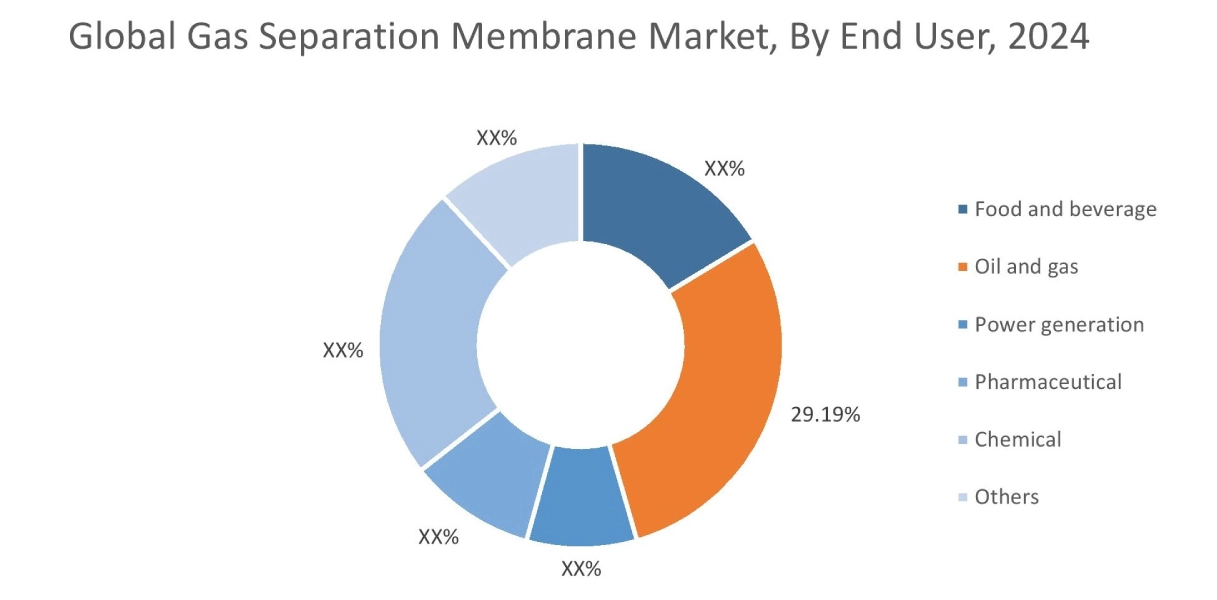 Gas Separation Membrane Market By End User