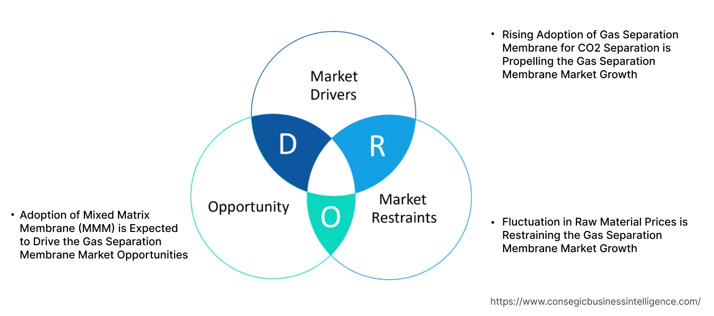Gas Separation Membrane Market Dynamics