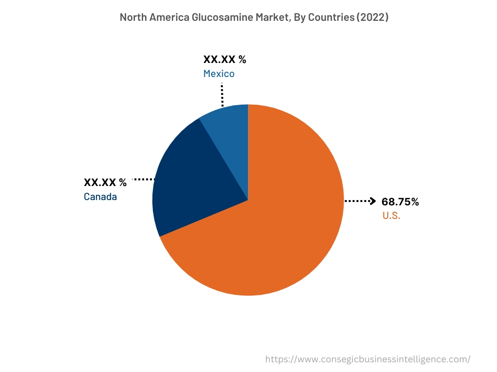 Glucosamine Market By Country