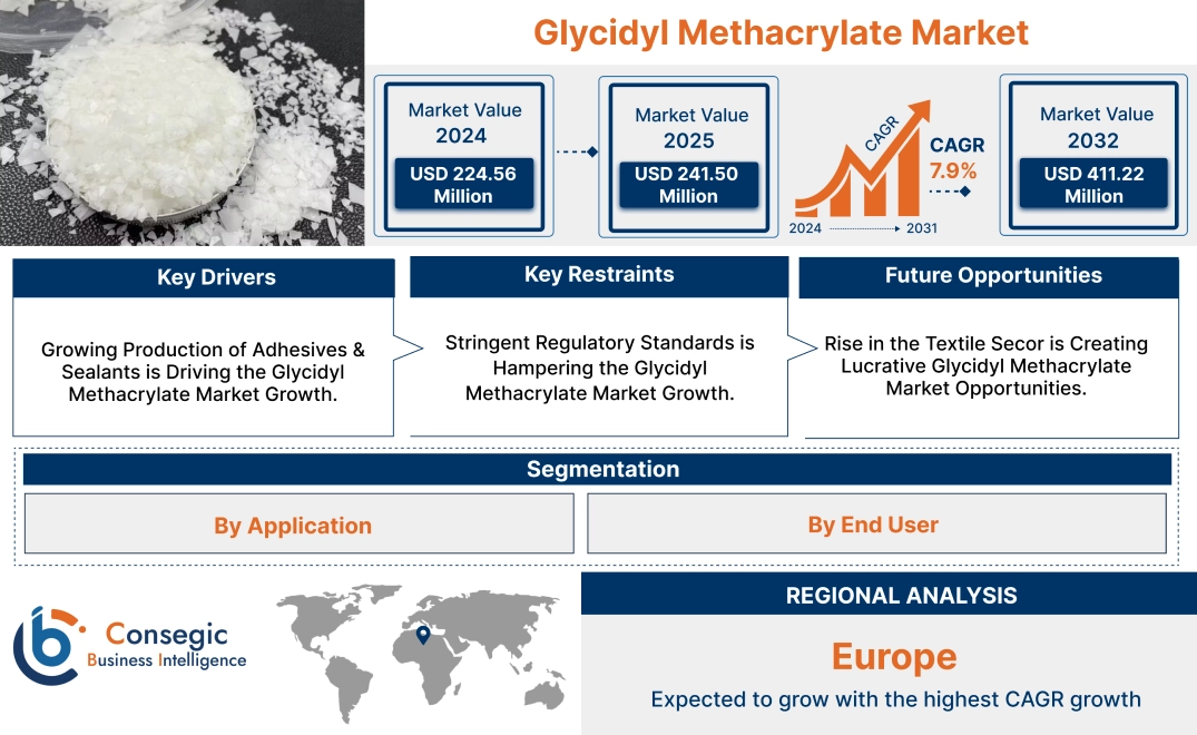 Glycidyl Methacrylate Market Glycidyl Methacrylate Market
