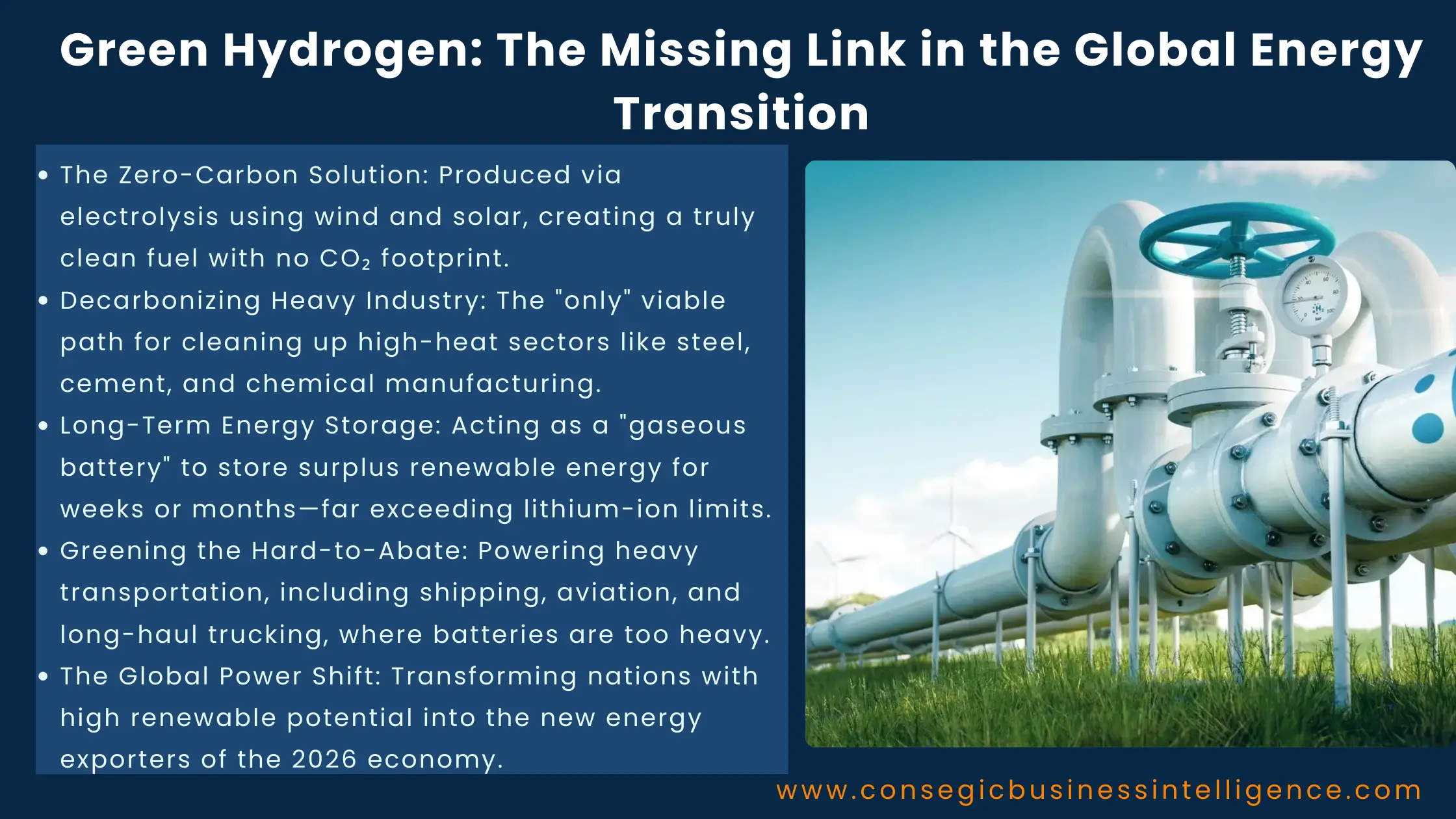 Green Hydrogen: The Missing Link in the Global Energy Transition Blog