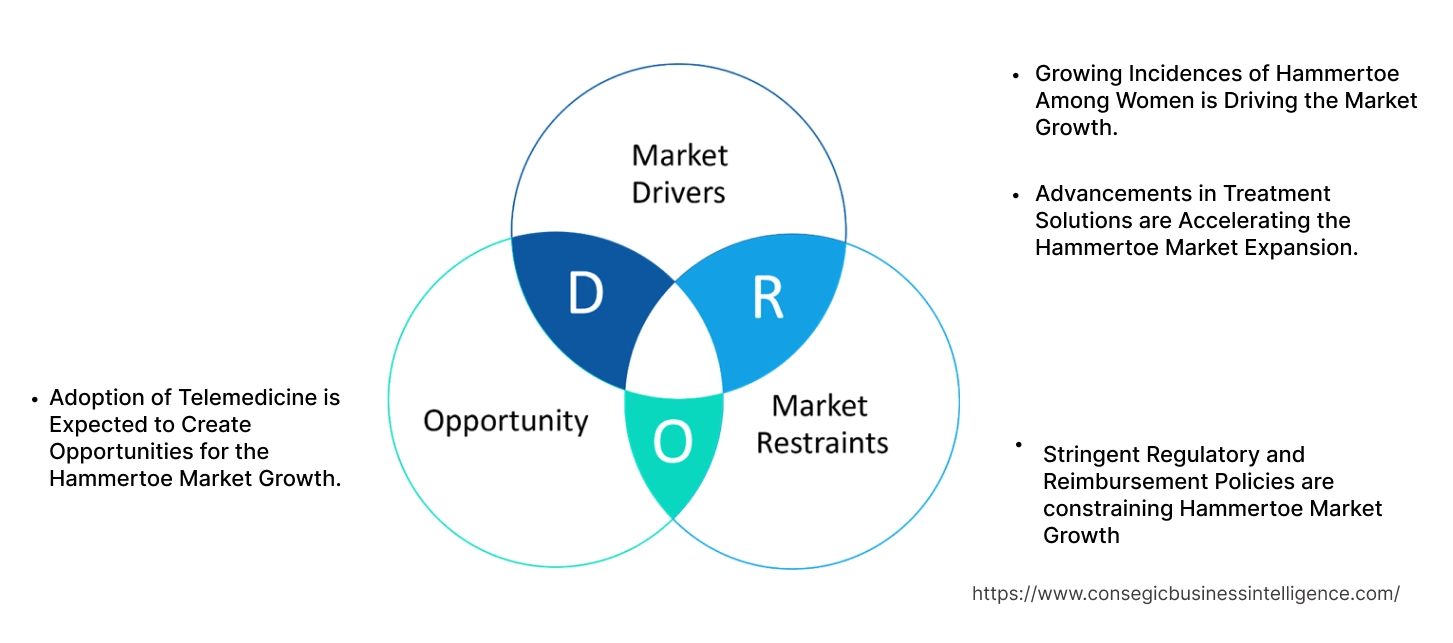Hammertoe Market Dynamics