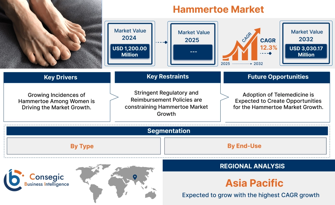 Hammertoe Market Hammertoe Market