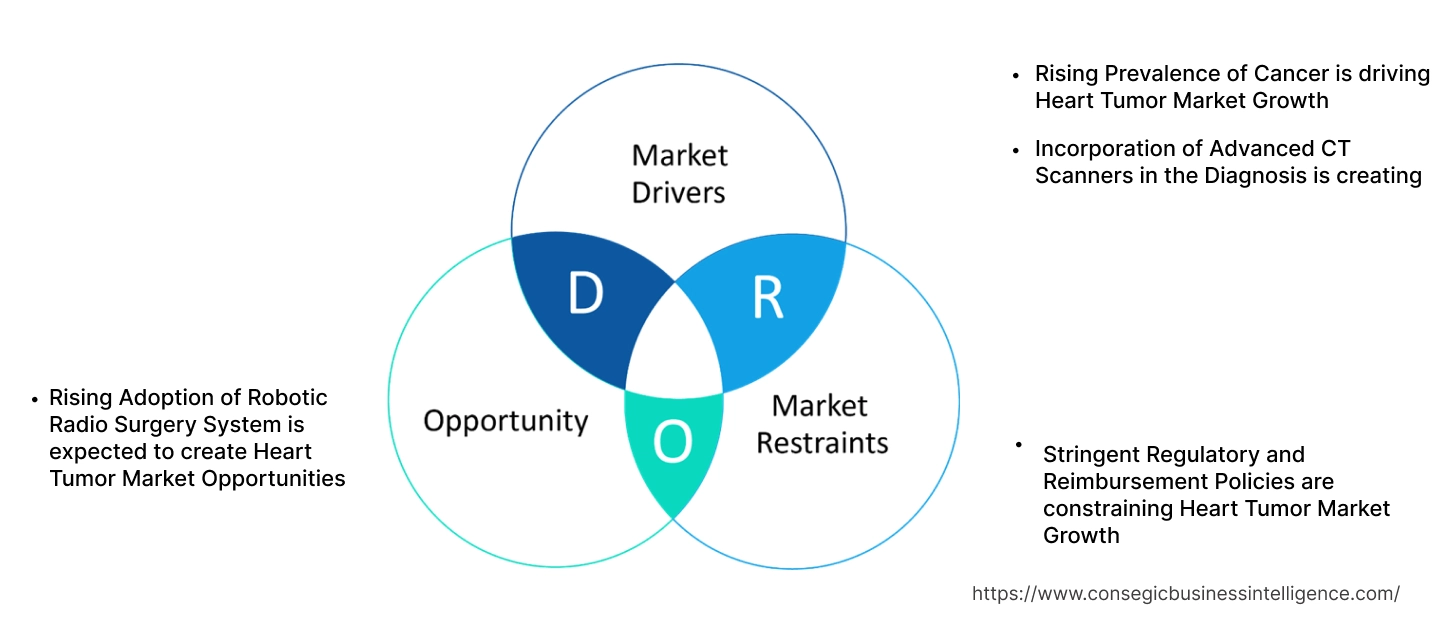 Heart Tumor Market Dynamics