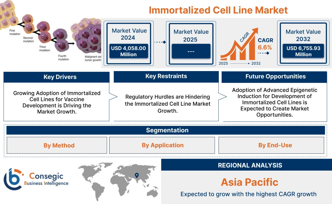 Immortalized Cell Line Market Immortalized Cell Line Market