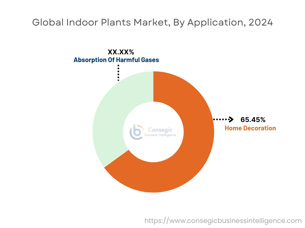 Indoor Plants Market By Application