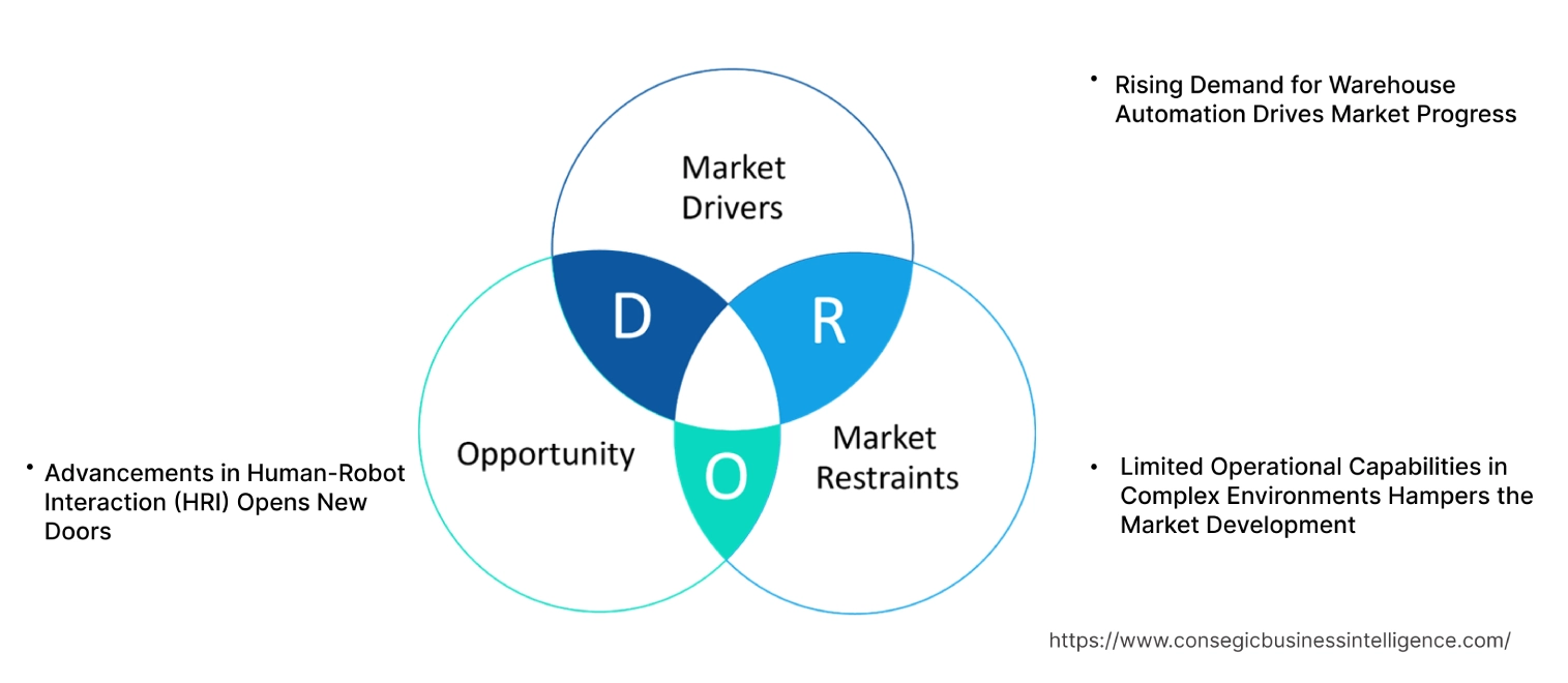 Indoor Robots Market Dynamics