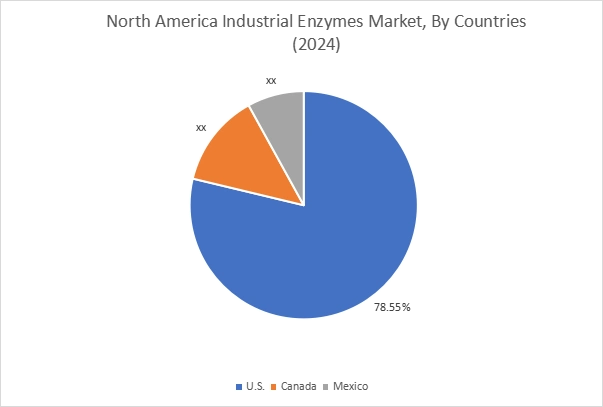 Industrial Enzymes Market By Country Industrial Enzymes Market By Country