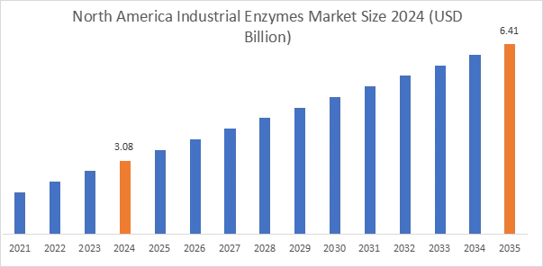 Industrial Enzymes Market By Region Industrial Enzymes Market By Region