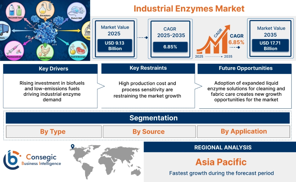 Industrial Enzymes Market Insights