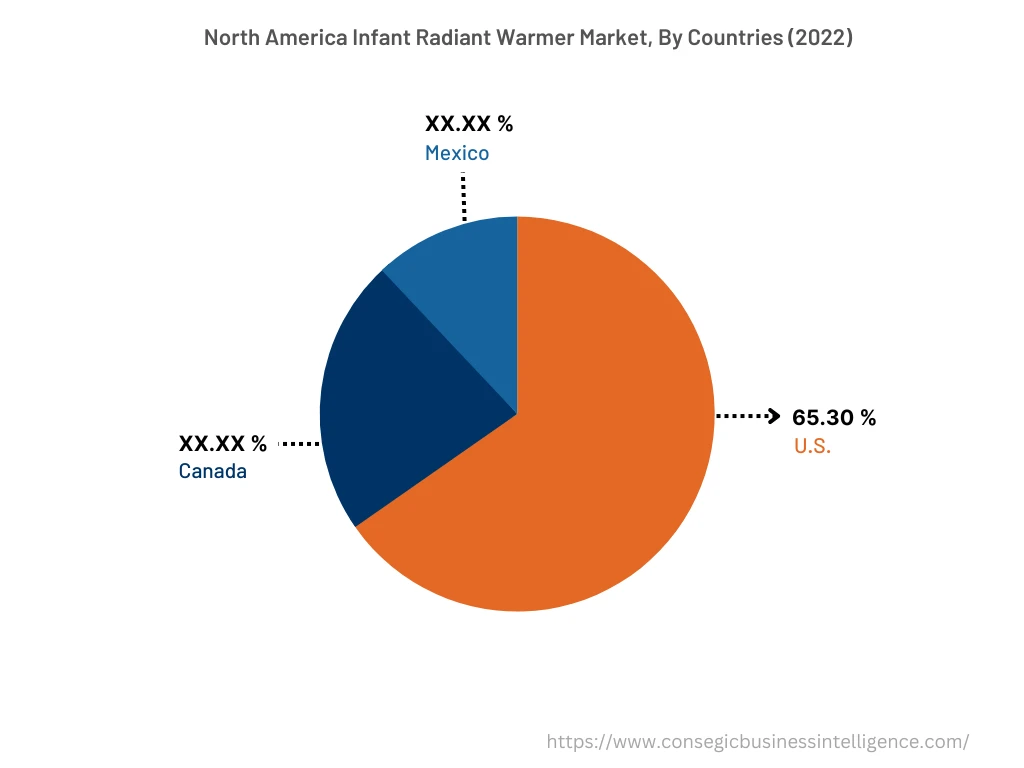 Asia Pacific Infant Radiant Warmer Market, By Countries (2022)