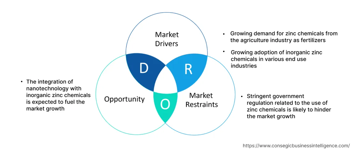 Inorganic Zinc Chemicals Market  Dynamics