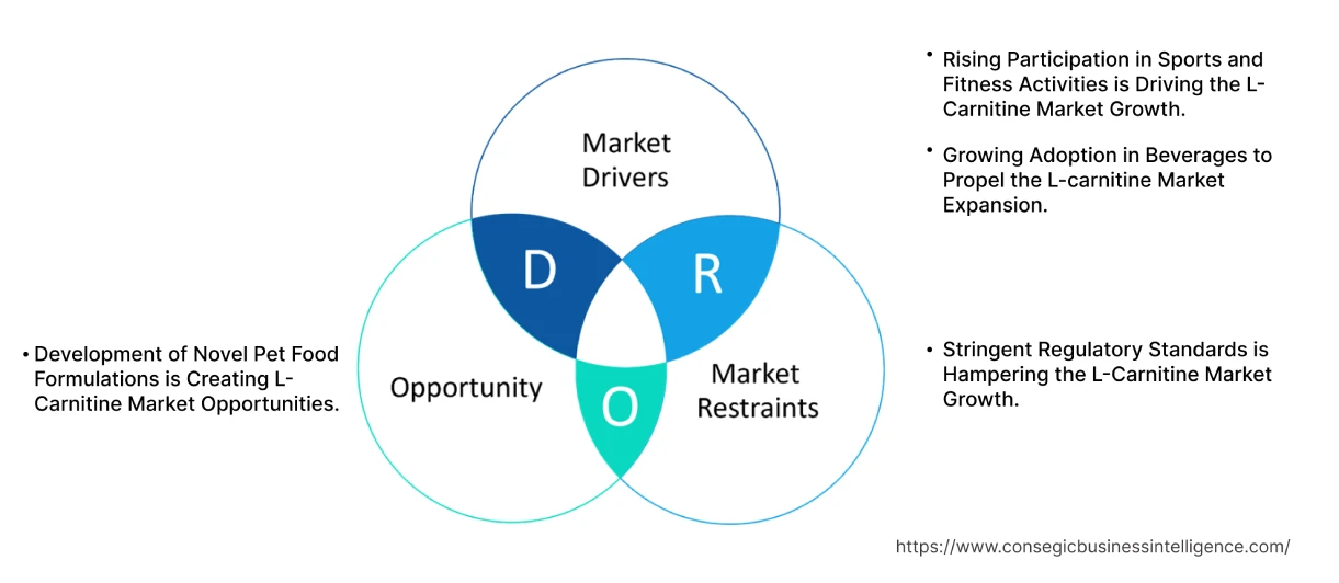 L-Carnitine Market Dynamics