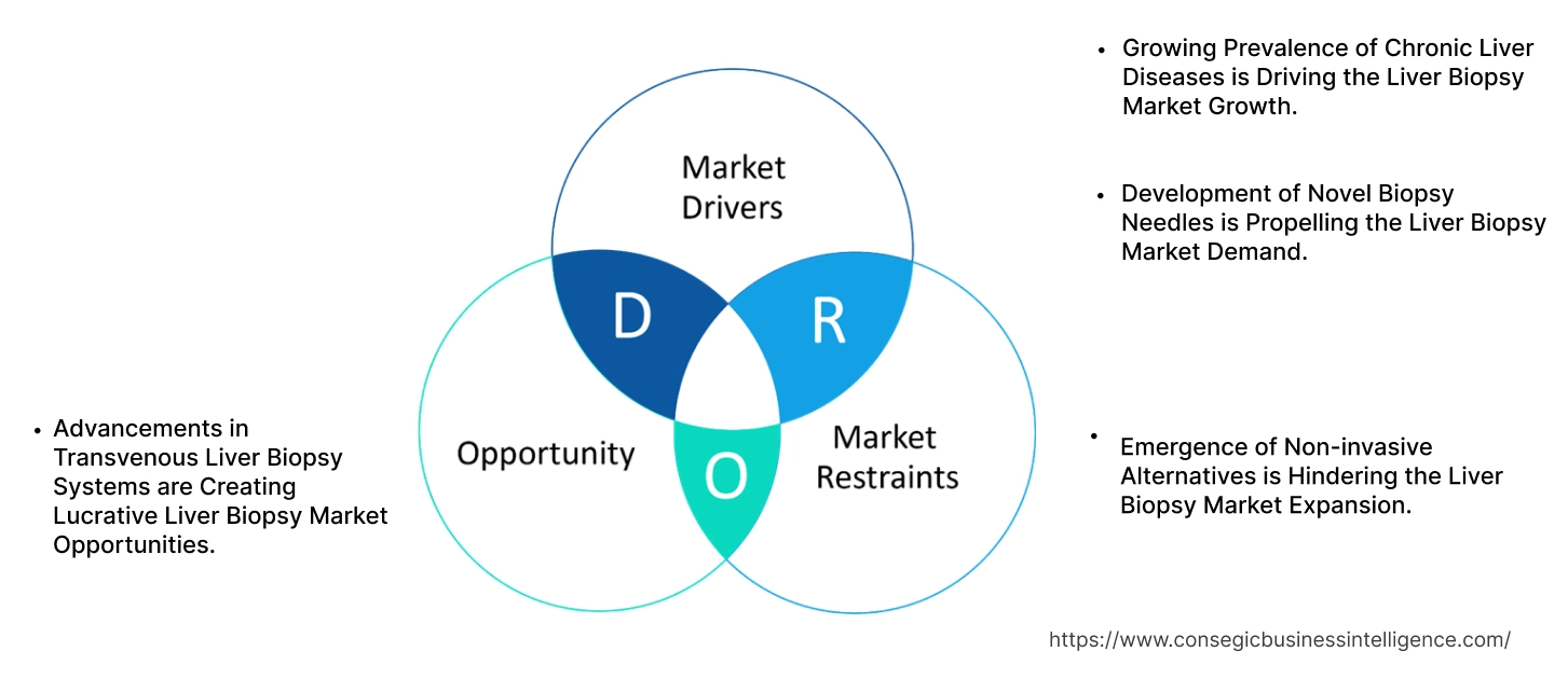 肝生検市場のダイナミクス 肝生検市場のダイナミクス