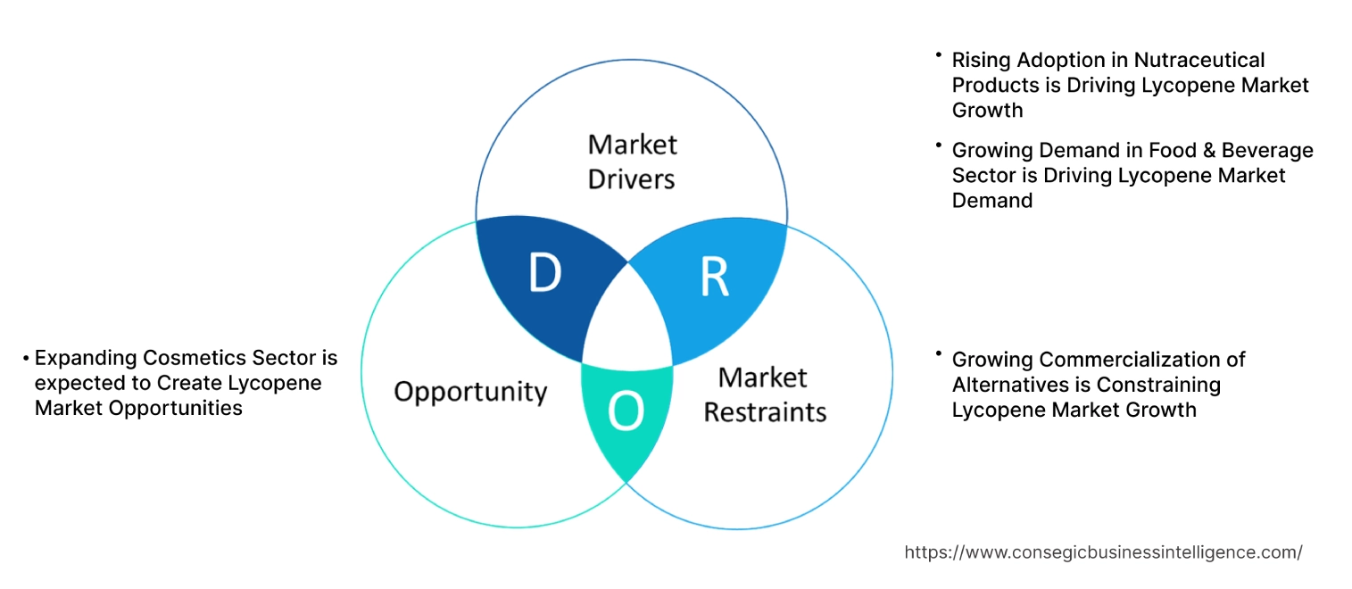 Lycopene Market Dynamics