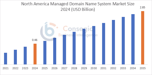 Managed Dns Market By Region