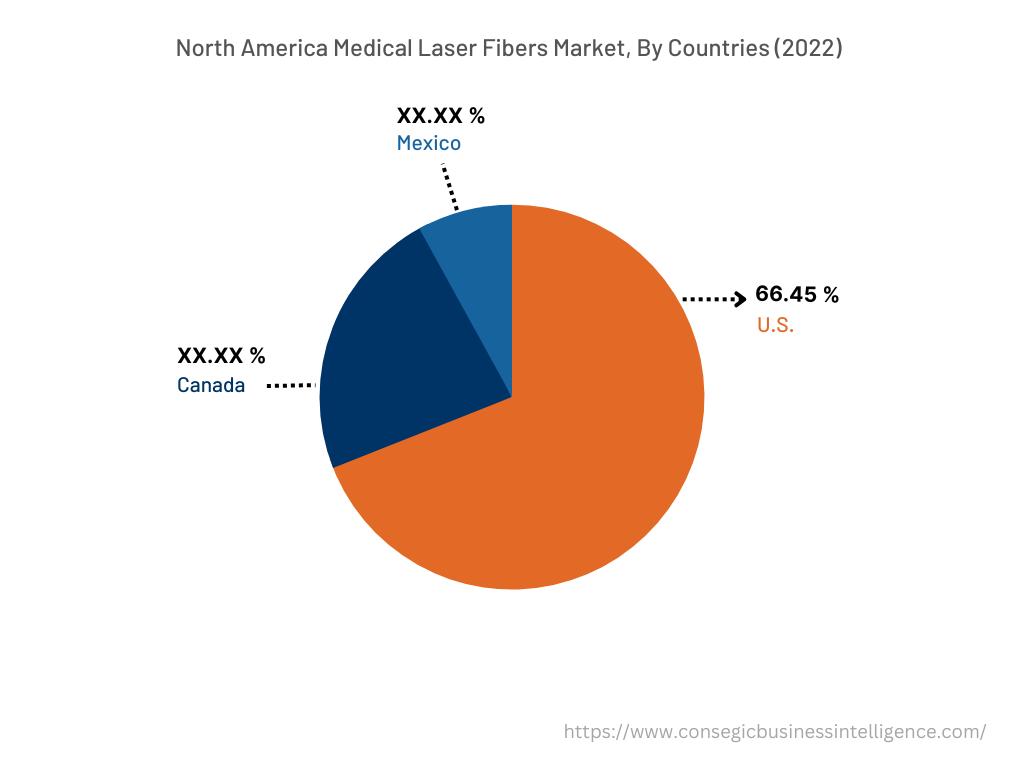 North America Medical Laser Fibers Market, By Countries (2022)