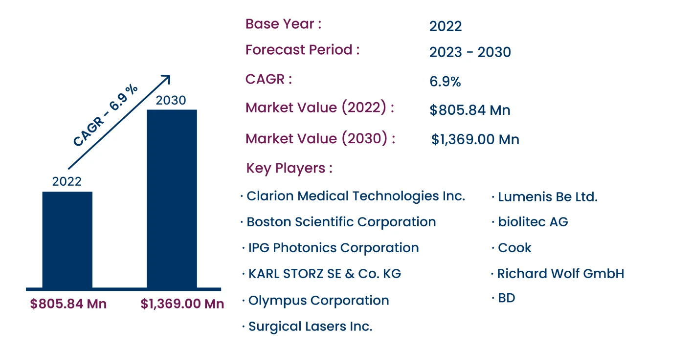 Global Medical Laser Fibers Market