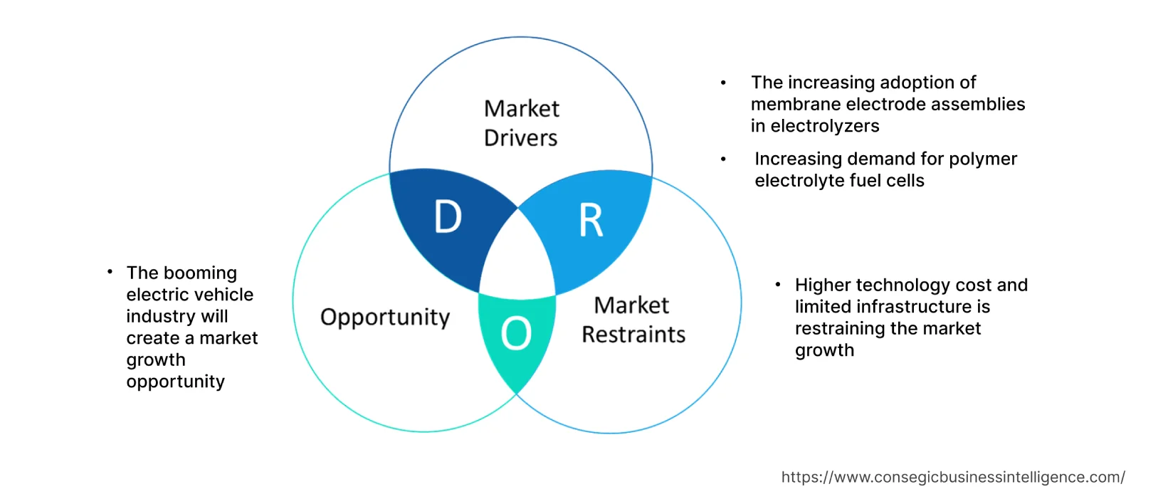Membrane Electrode Assemblies Market Dynamics Membrane Electrode Assemblies Market Dynamics