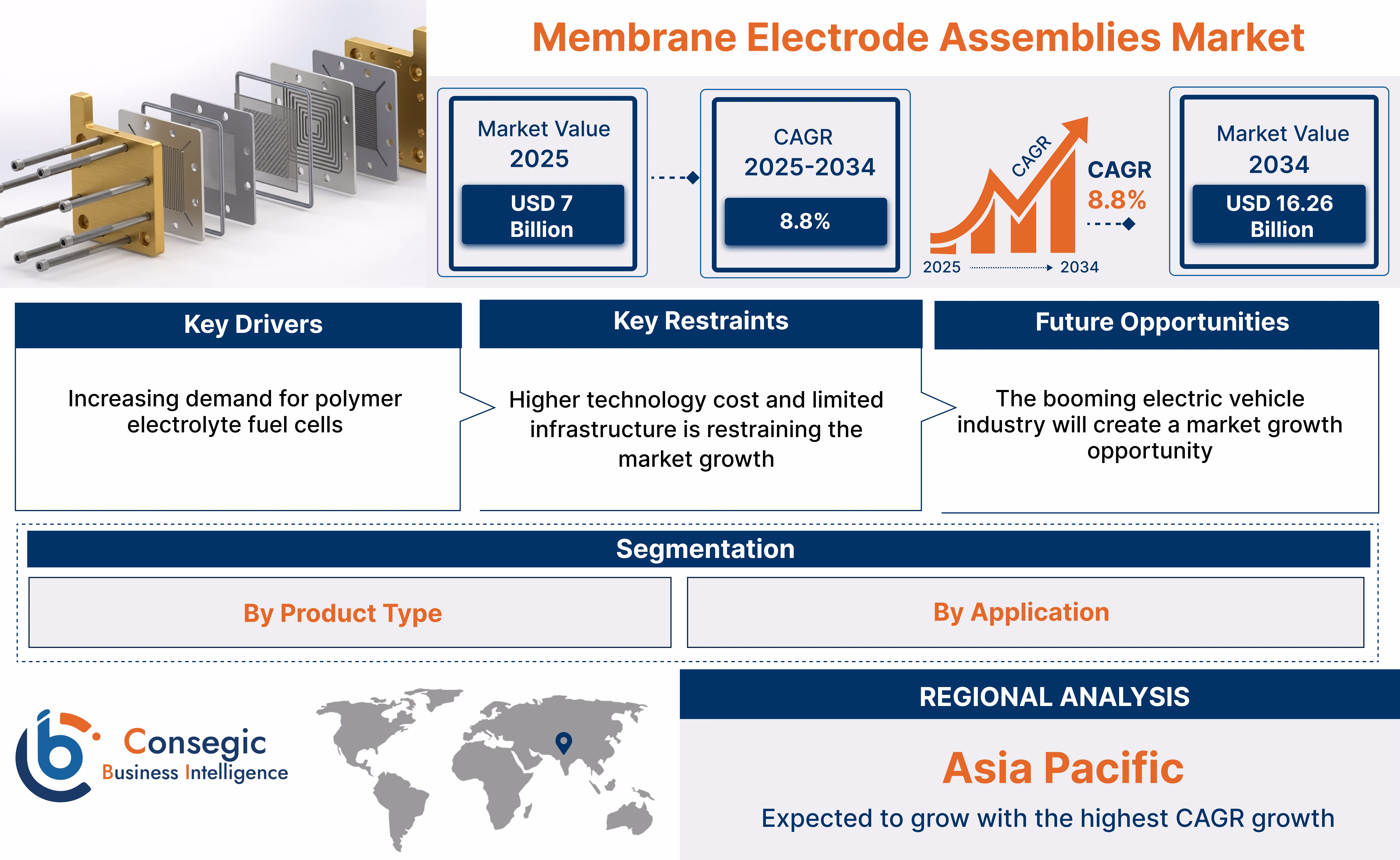 Membrane Electrode Assemblies Market Insights