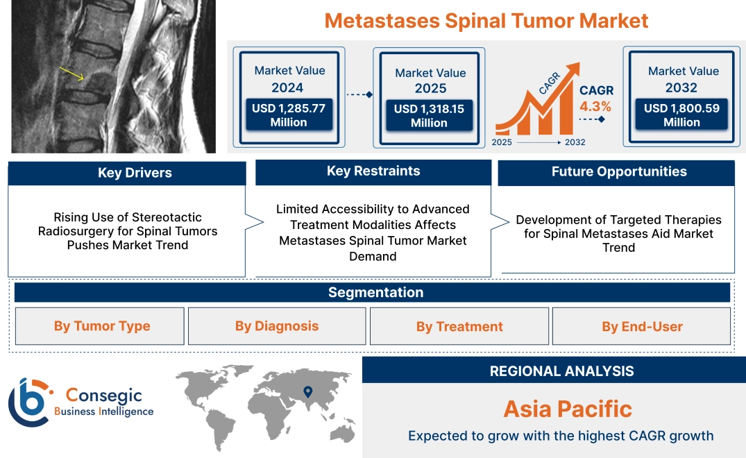 Metastases Spinal Tumor Market Metastases Spinal Tumor Market