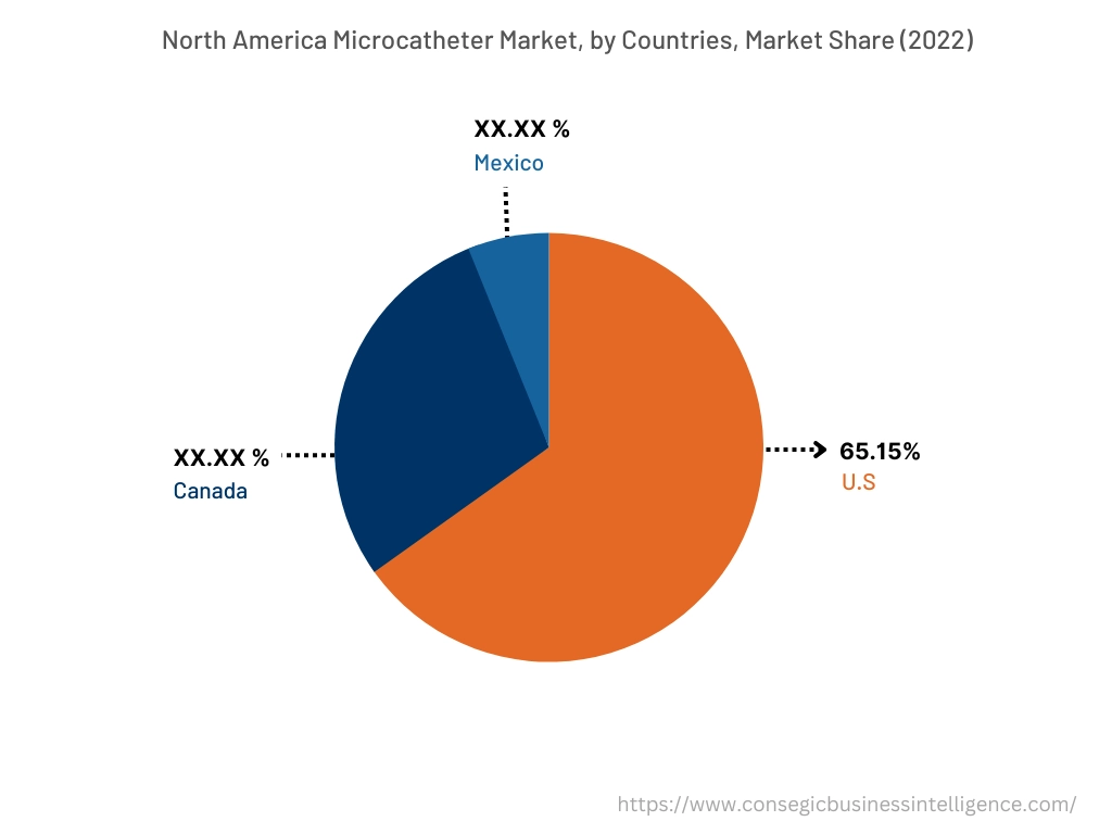 North America Microcatheter Market, By Countries (2022)