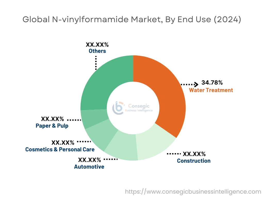 N-vinylformamide Market By End Use