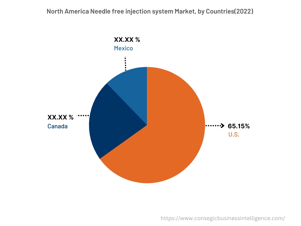 Needle Free Injection System Market By Country