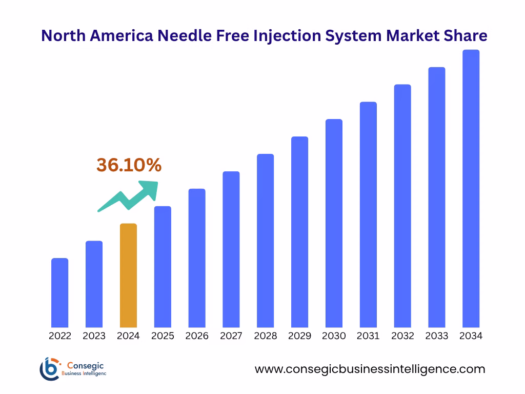 Needle Free Injection System Market By Region