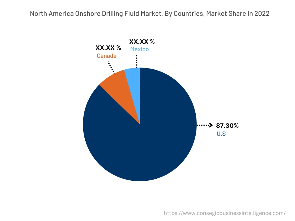 North America Onshore Drilling Fluid Market, By Countries (2022)