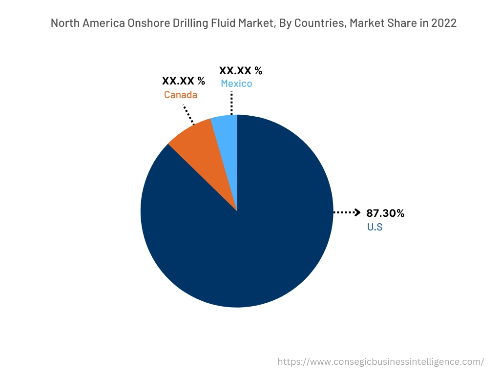 Onshore Drilling Fluid Market By Country