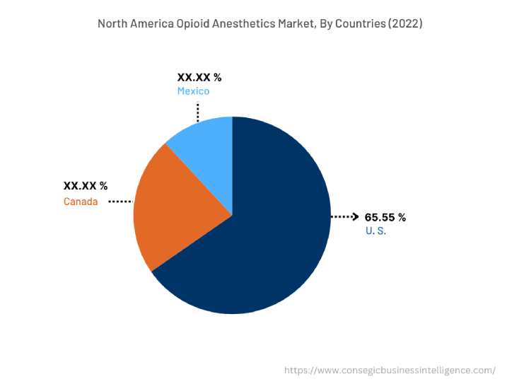 North America Opioid Anesthetics Market, By Countries (2022)