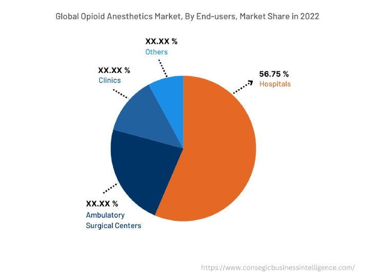 Global Opioid Anesthetics Market, By End-users, 2022
