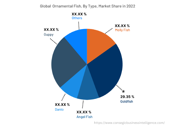 Global Ornamental Fish Market , By Type, 2022