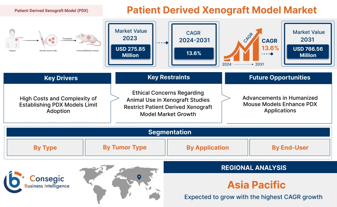 Patient Derived Xenograft Model Market Patient Derived Xenograft Model Market