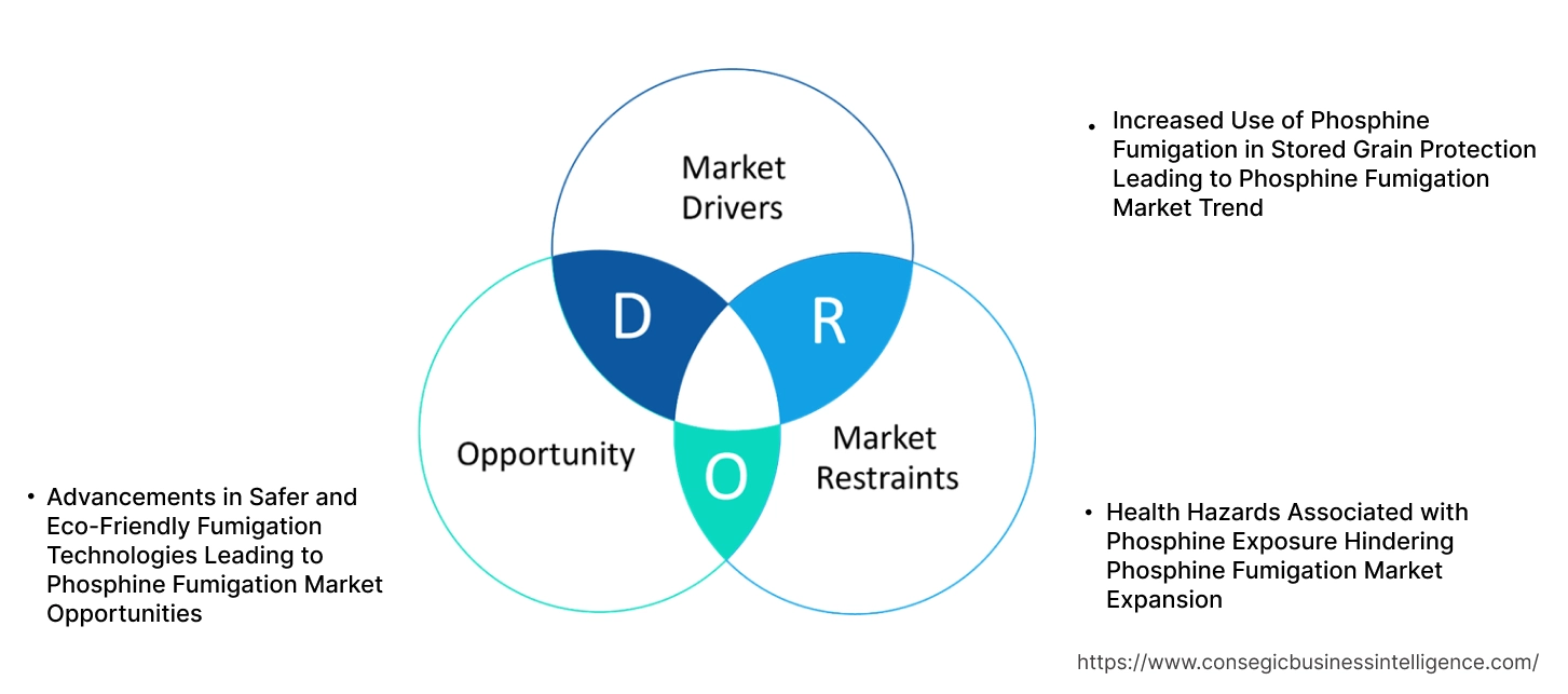 Phosphine Fumigation Market Dynamics Phosphine Fumigation Market Dynamics