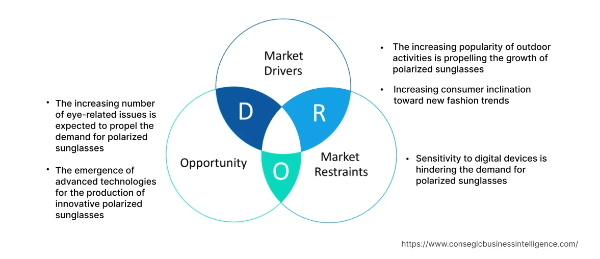 Polarized Sunglasses Market Dynamics