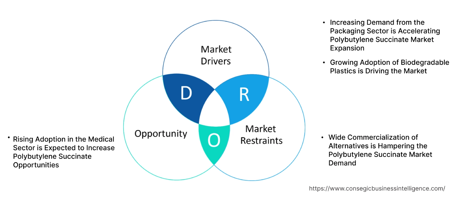 Polybutylene Succinate Market Dynamics