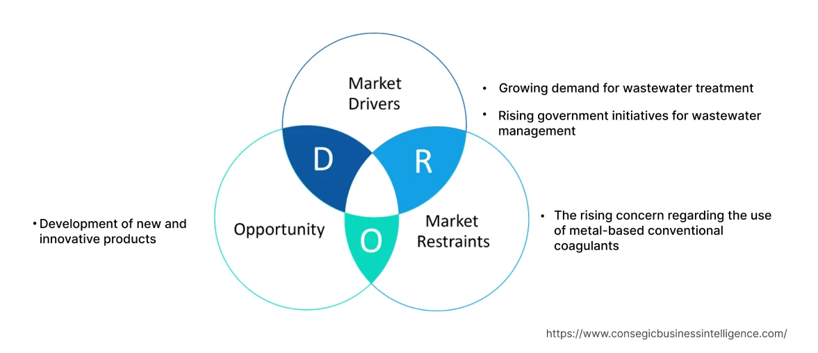 Polyferric Sulfate Market Dynamics