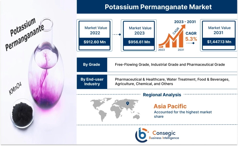 Potassium Permanganate Market 