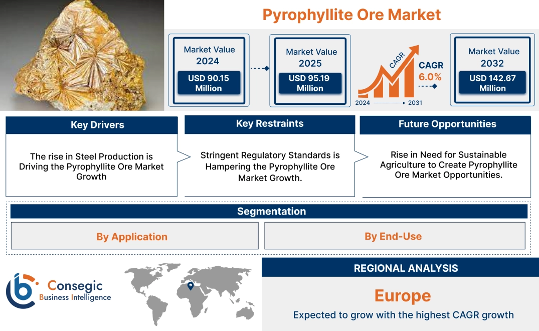 Pyrophyllite Ore Market Pyrophyllite Ore Market
