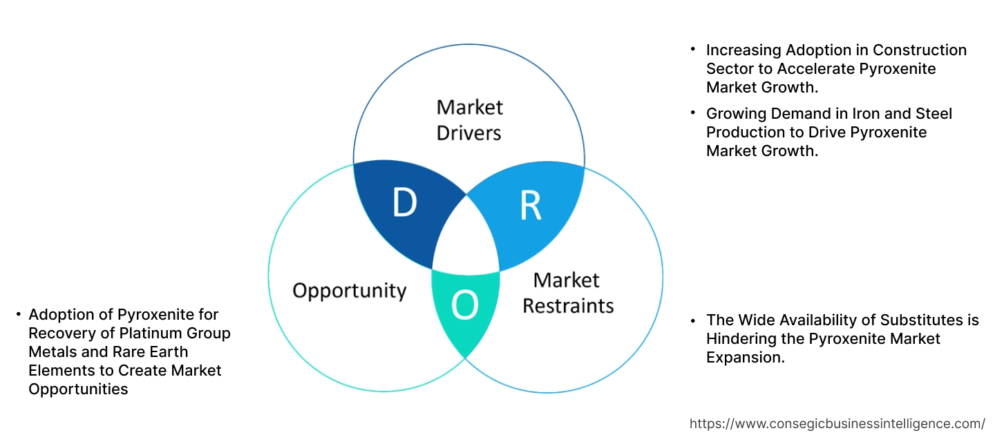 Pyroxenite Market Dynamics