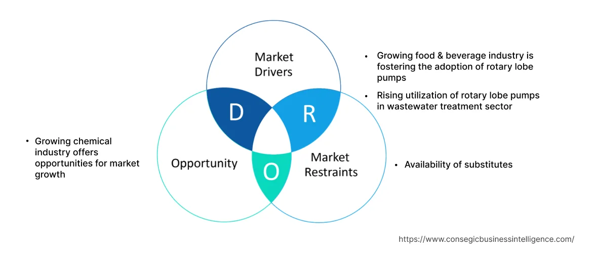 Rotary Lobe Pump Market Dynamics