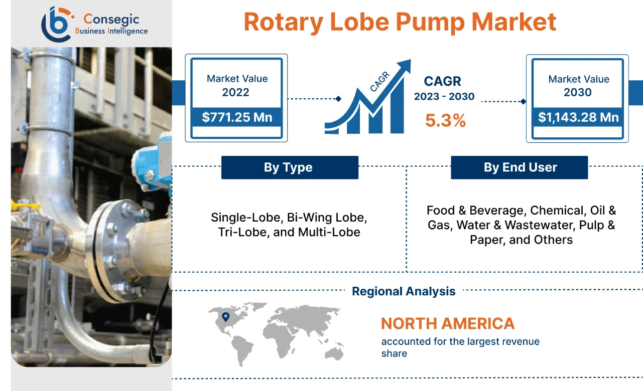 Rotary Lobe Pump Market 