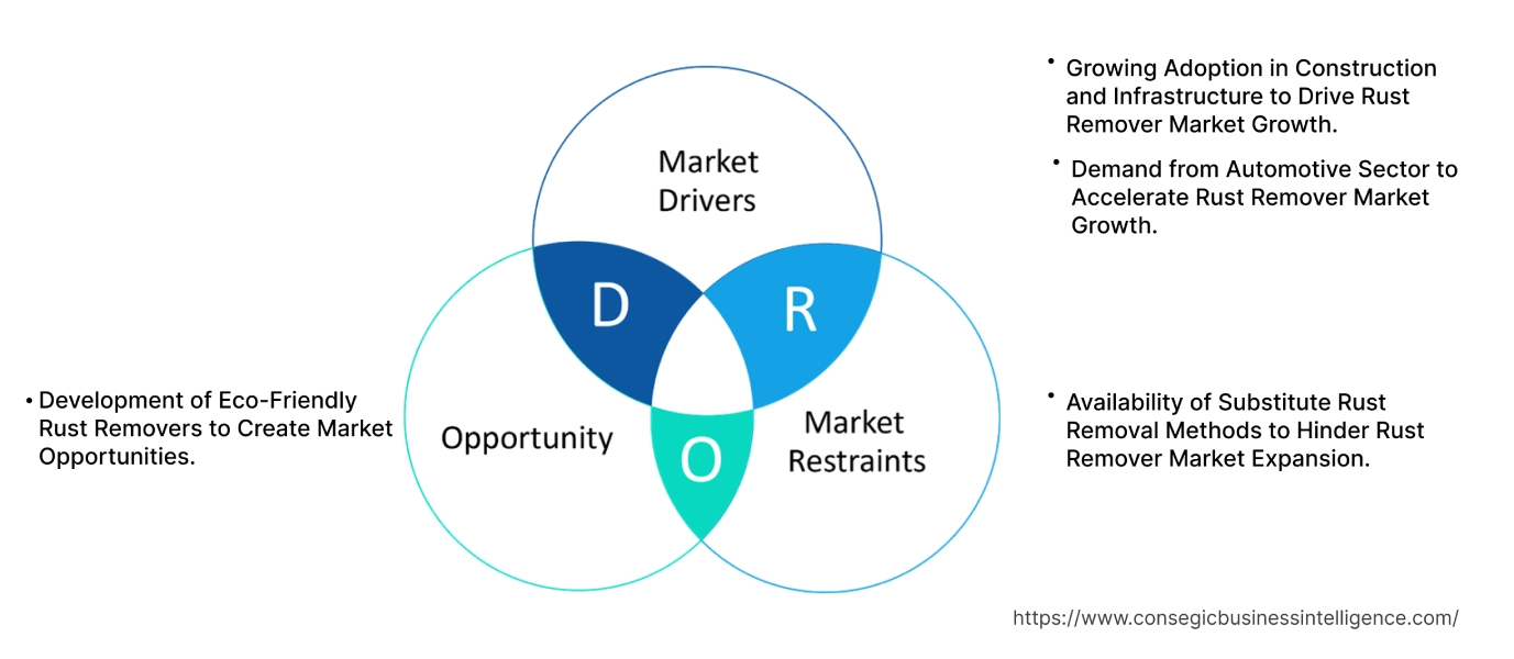 Rust Remover Market Dynamics Rust Remover Market Dynamics