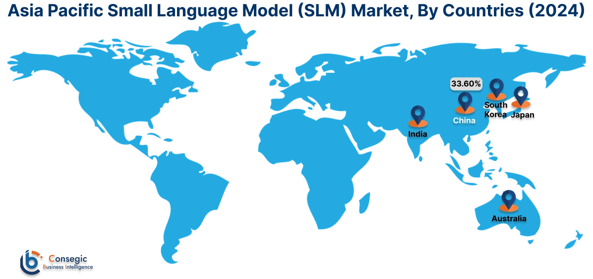 Small Language Model (SLM) Market By Country