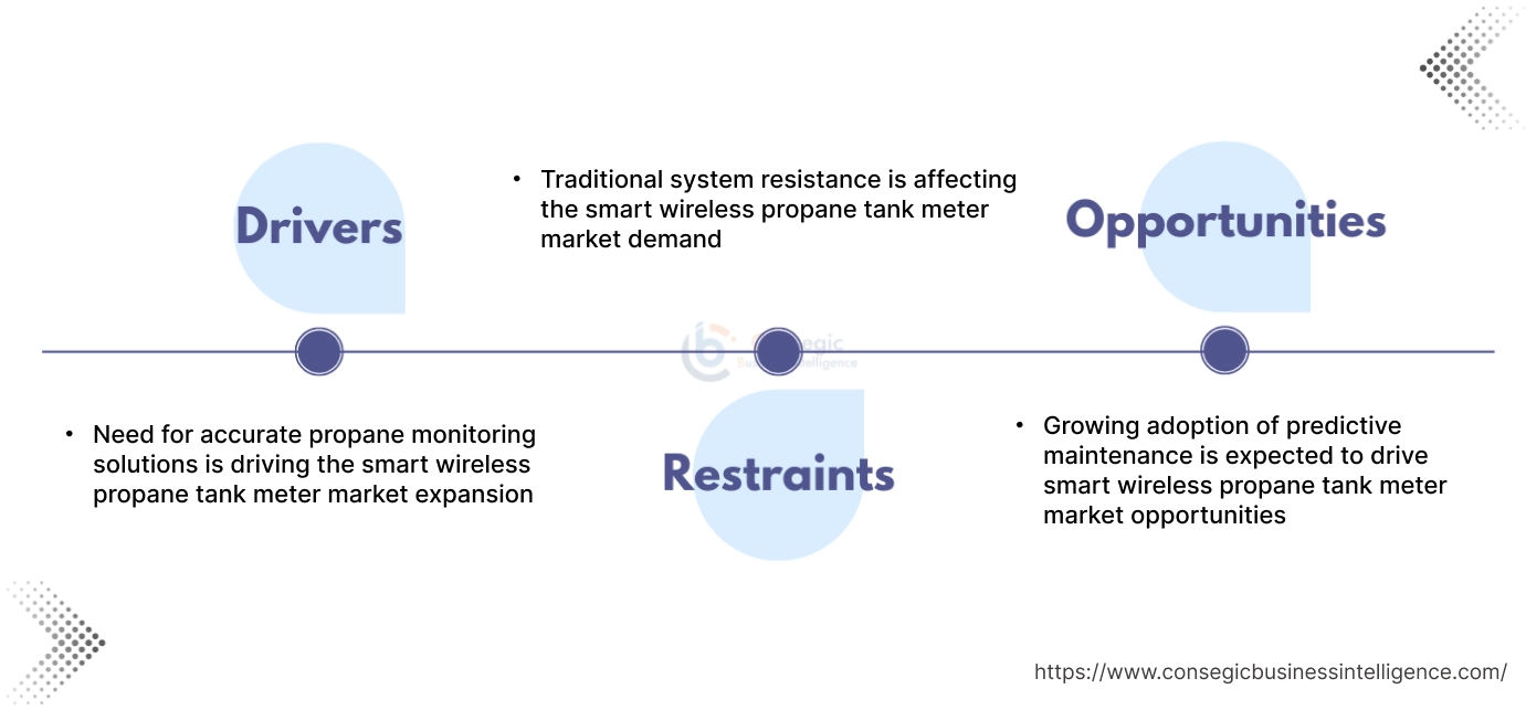 Smart Wireless Propane Tank Meter Market Dynamics