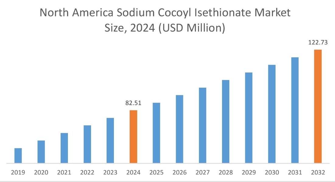 Sodium Cocoyl Isethionate Market  By Region